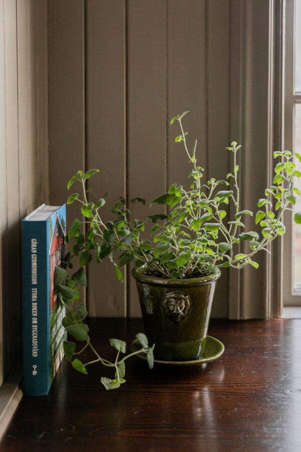 Lion pot Gysinge