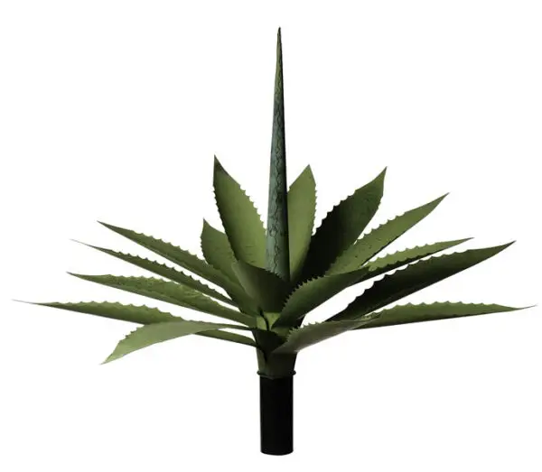 Agave i kopparplåt 15 blad