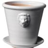 Lion pot small