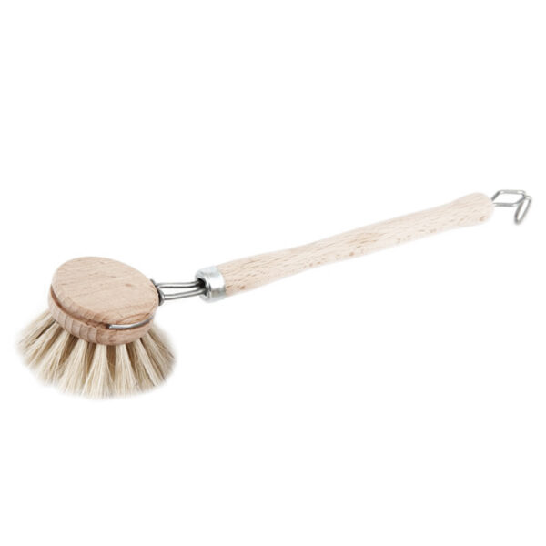 Dish brush beech/thorn