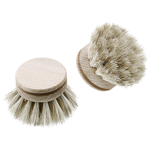 Dish brush beech/thorn - Image 2