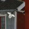 Erkasgården - Bild 2