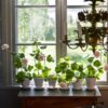 Flowerpot - Image 3
