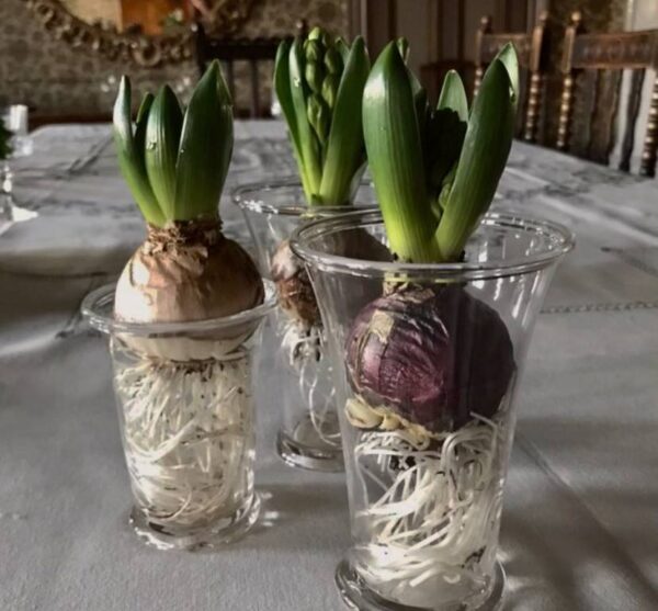 Goblets, wine - Image 3