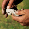 Linseed oil putty - Image 3