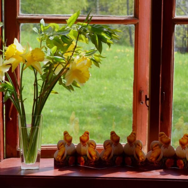 Paper rows of chicken on eggs - Image 2