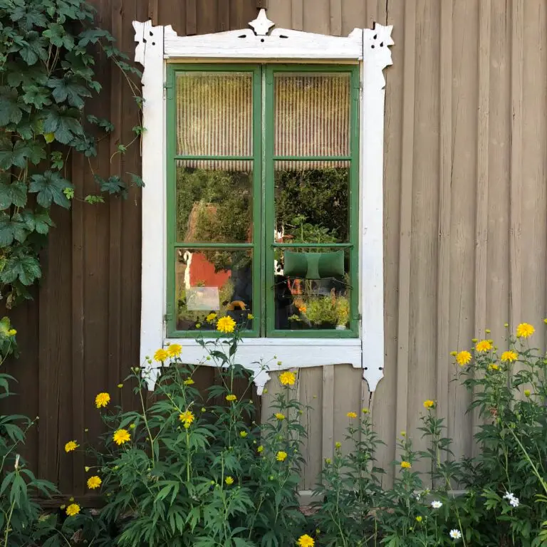 Fönsterrenovering